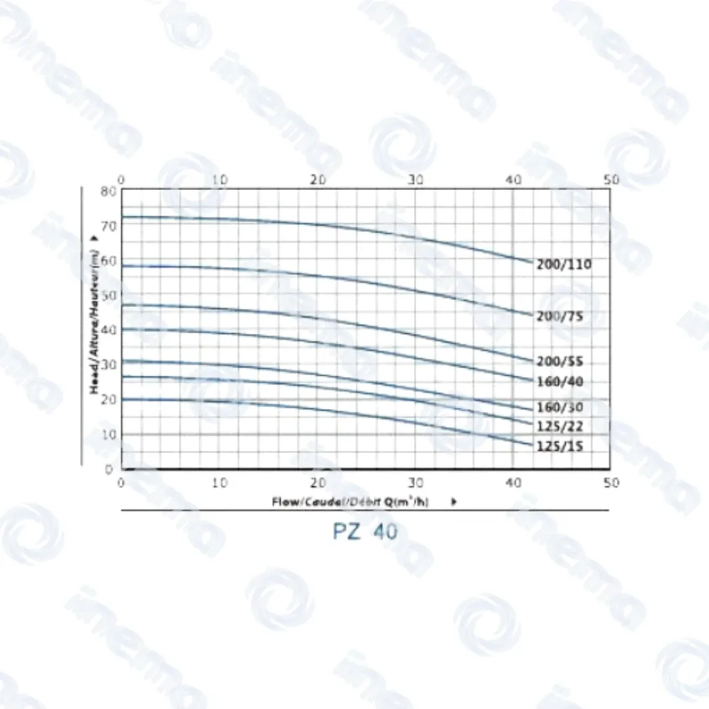 4.webp