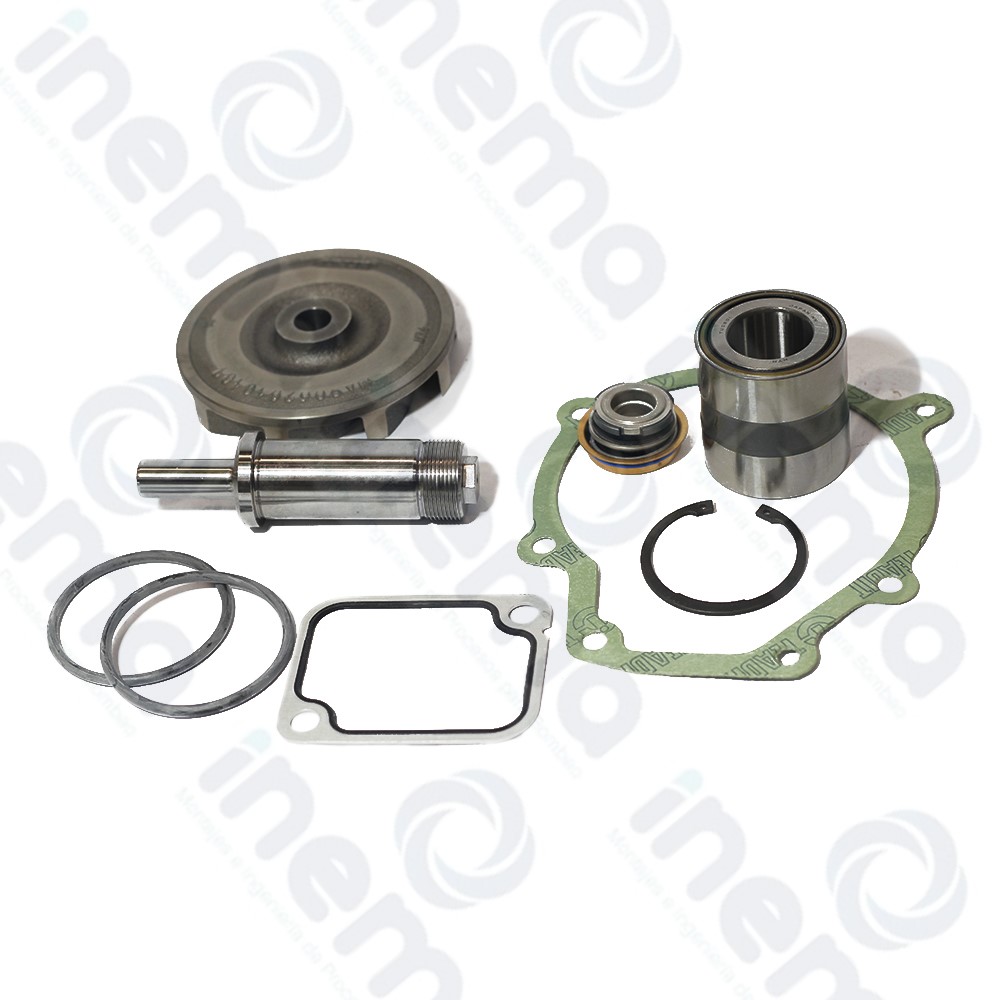 KIT SHAKTI DE REPARACION SCR 1-5
