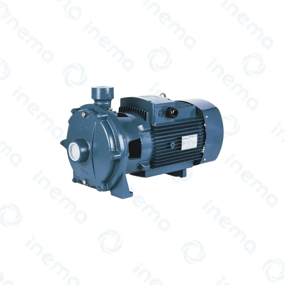 BOMBA CENTRIFUGA IPP MOD P2C 50-180/40, 5.5HP, 230-460V/ 3F, 60HZ
